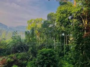 Ellat 4 K.M Durin Land for Sale