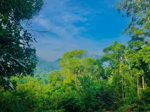 Ellat 4 K.M Durin Land for Sale