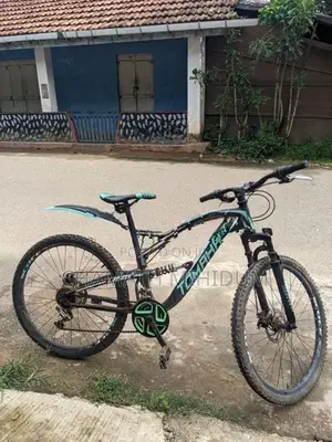 Tomahawk Bicycle