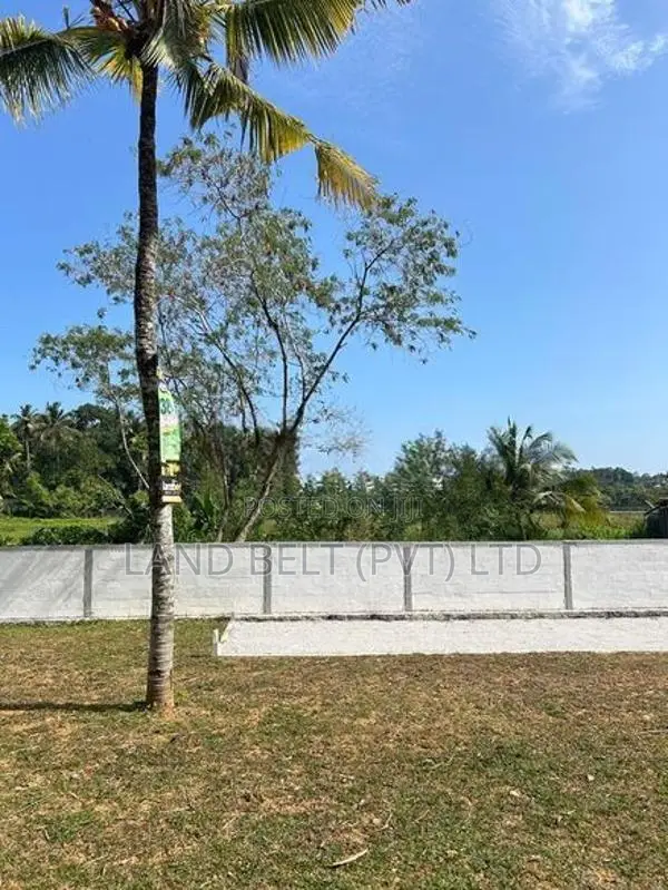 නගරයට ලඟින් නිස්කලංක පරිසරයක ඉඩම්