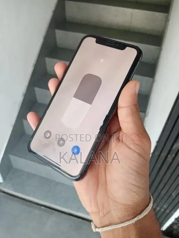 Apple iPhone XS 256GB (Used)