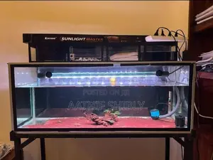 Fish Tank with Stand Overhead Sump