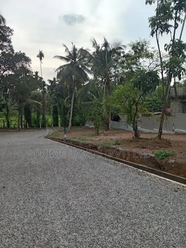 හෝමාගම නගරයෙන් බිම් කොටස් විකිණීමට