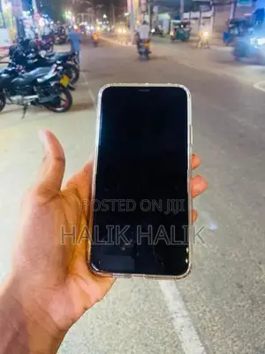 Apple iPhone 11 Pro Max 256GB (Used)