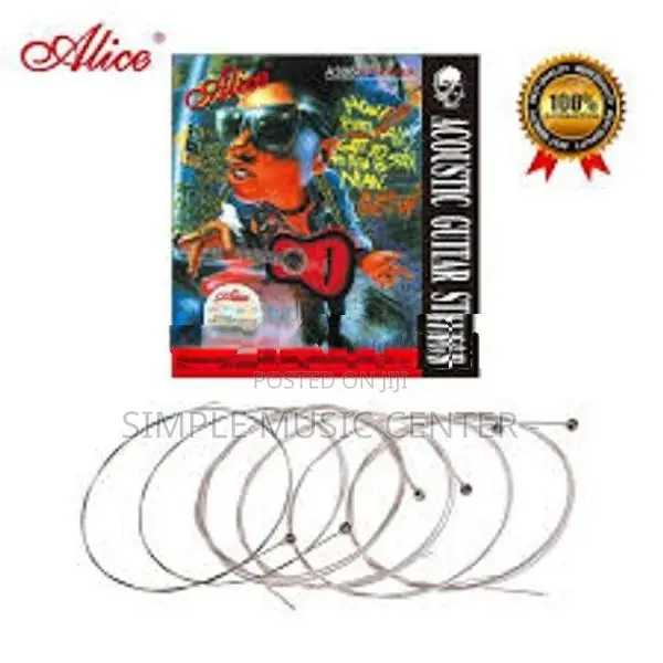 Alice A306-SL Acoustic Guitar Strings Set - 6 String