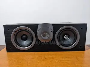 Infinity Car Center Speaker