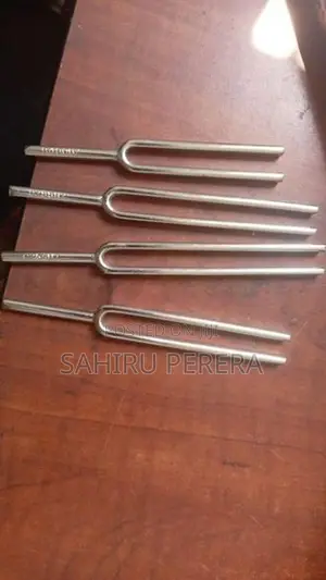 සරසුල (Tuning Fork)