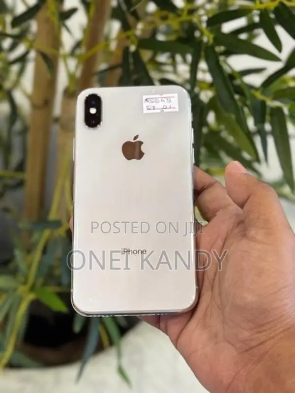 Apple iPhone X 256GB (Used)