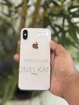 Apple iPhone X 256GB (Used)
