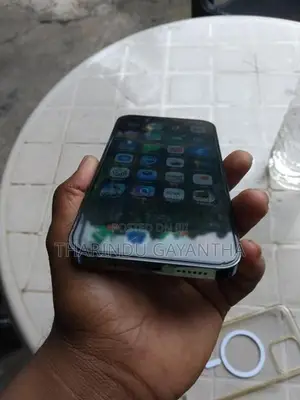 Apple iPhone 12 Pro Max (Used)