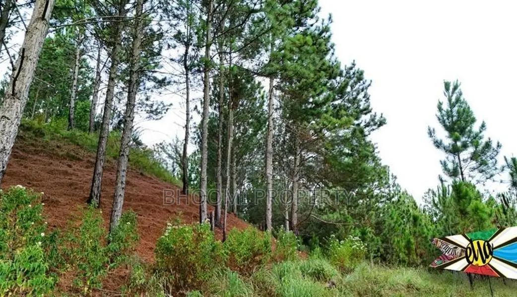 Land for Sale in Kithal Ella