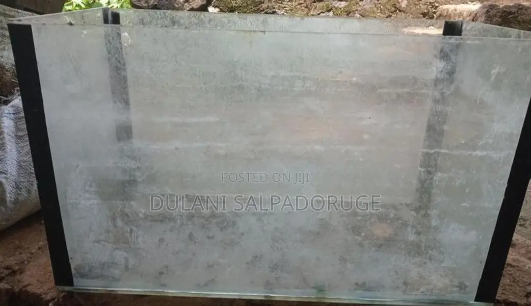 මාලු ටැංකි