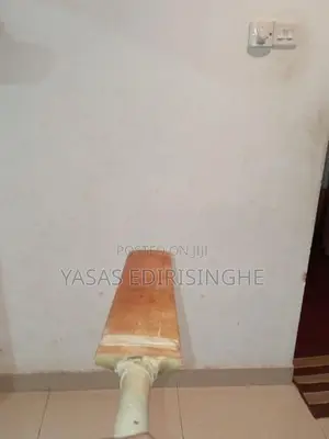 Cricket Bat