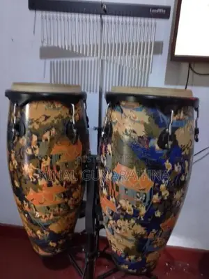 Maverick Conga Drums