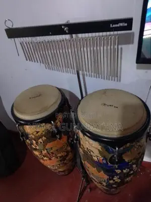 Maverick Conga Drums