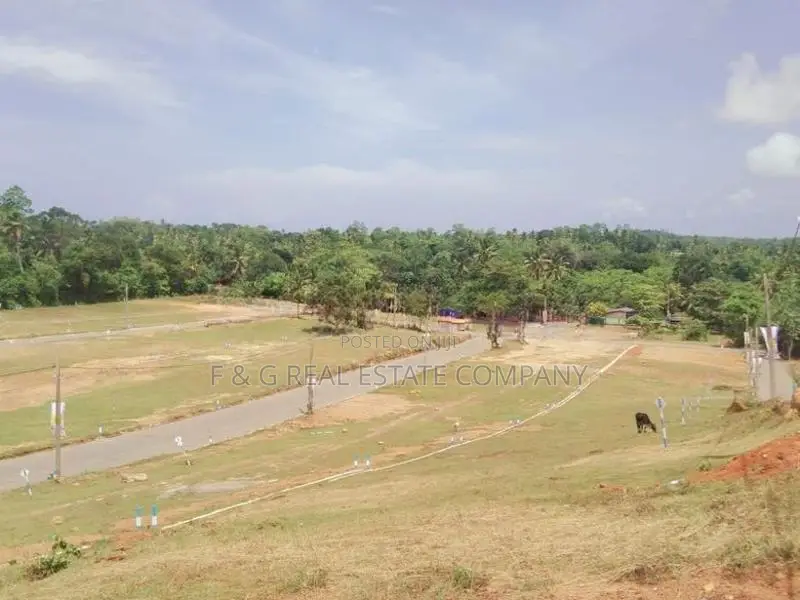 389 ගාල්ල දොඩංගොඩ බස් පාරට මුහුනලා අගනා බිම් කොටස්