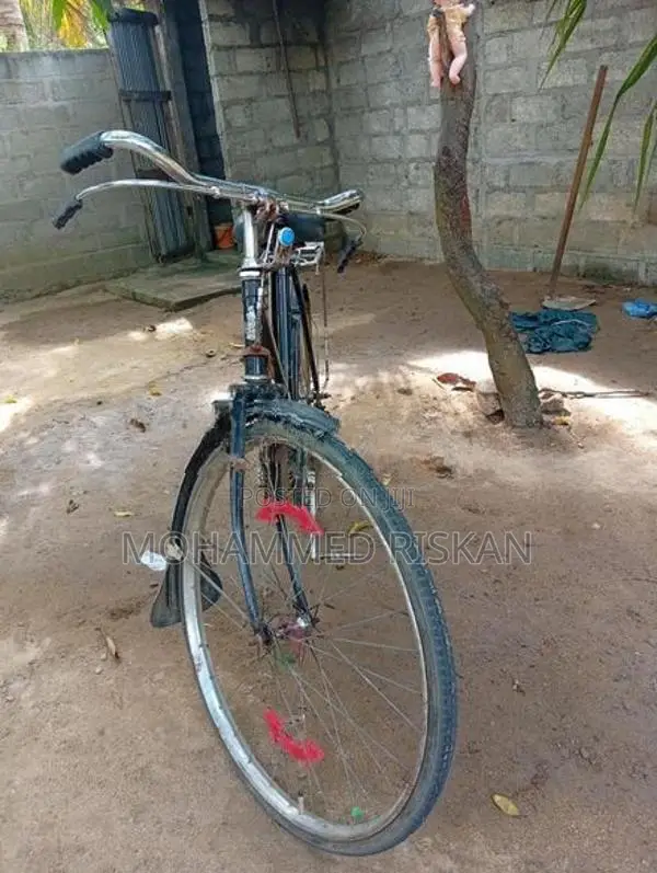 Bicycle