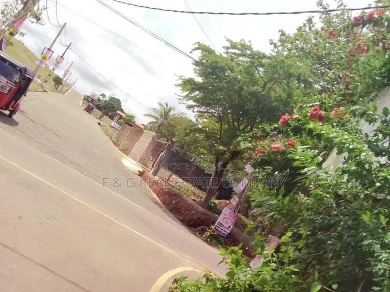 389 ගාල්ල දොඩංගොඩ බස් පාරට මුහුනලා අගනා බිම් කොටස්