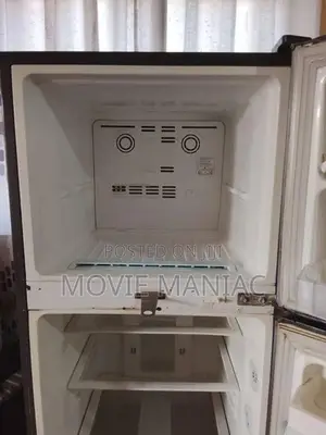 LG Refrigerator - 2M252VM PMDQABN (Used)