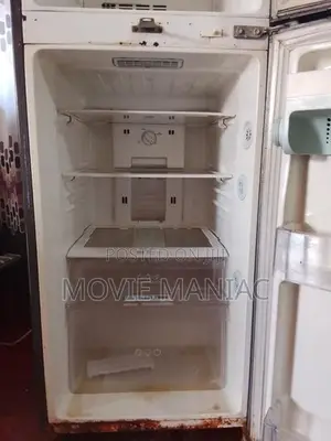 LG Refrigerator - 2M252VM PMDQABN (Used)