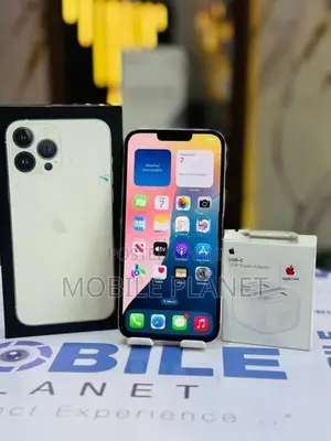 Apple iPhone 13 Pro Max 256GB (Used)