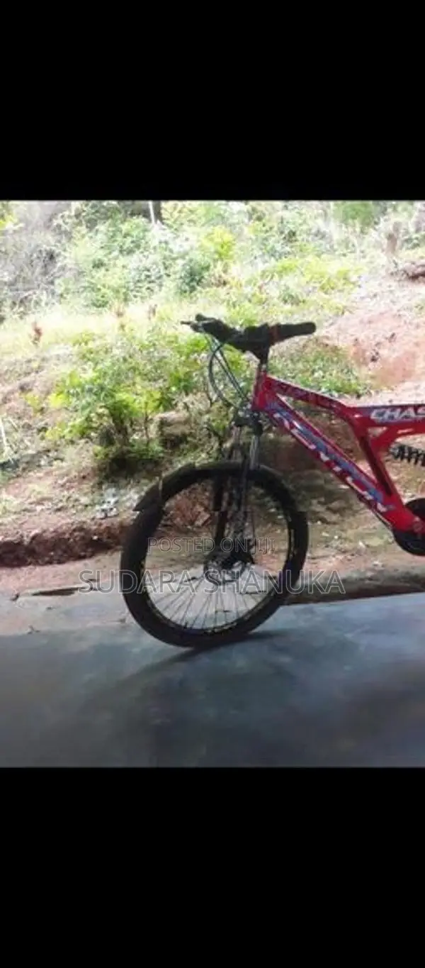 Bicycle