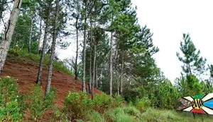 Land for sale in Ella
