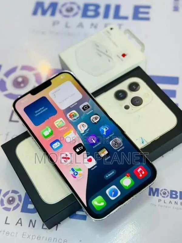 Apple iPhone 13 Pro Max 256GB (Used)