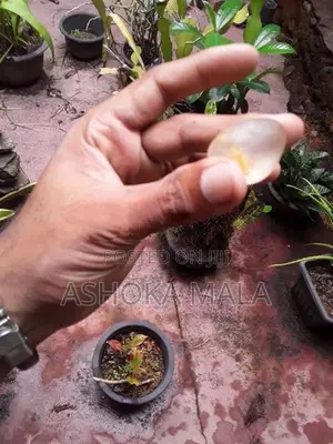 White Topaz Gem Stone