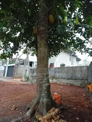 Land For Sale in Kadawatha