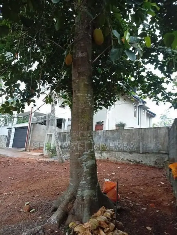 Land For Sale in Kadawatha