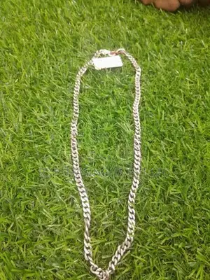 Silver Chain