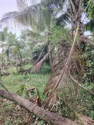 Gampaha Veyangoda Dadagamuwa Wewa Para Land