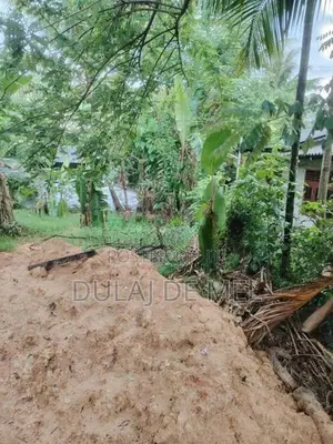 Gampaha Veyangoda Dadagamuwa Wewa Para Land