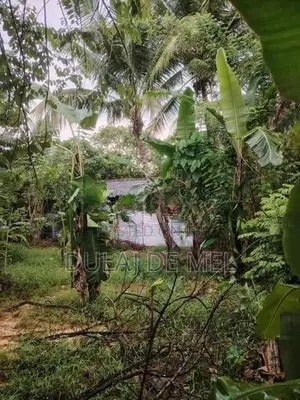 Gampaha Veyangoda Dadagamuwa Wewa Para Land