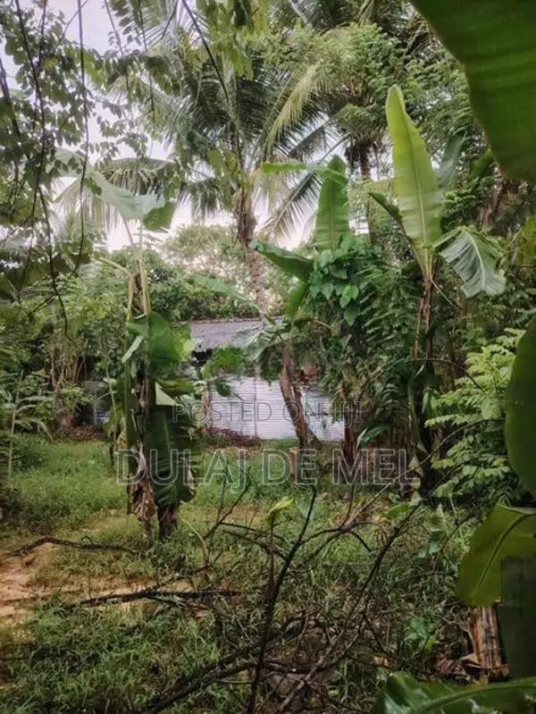 Gampaha Veyangoda Dadagamuwa Wewa Para Land