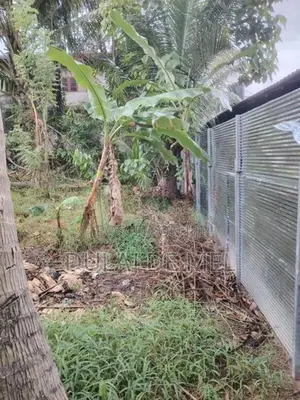Gampaha Veyangoda Dadagamuwa Wewa Para Land