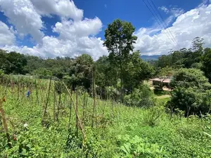කැප්පෙටිපොළ නගරයට ආසන්න පර් 68ක ඉඩමක්