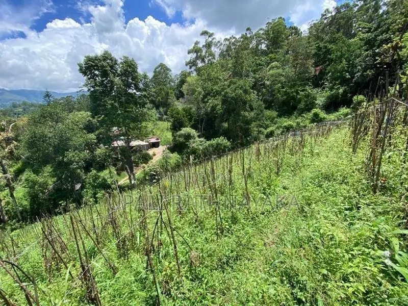 කැප්පෙටිපොළ නගරයට ආසන්න පර් 68ක ඉඩමක්