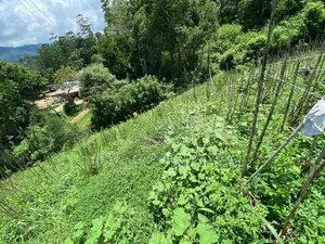 කැප්පෙටිපොළ නගරයට ආසන්න පර් 68ක ඉඩමක්