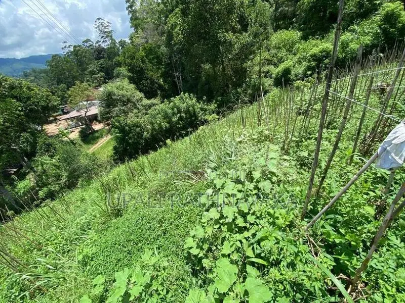 කැප්පෙටිපොළ නගරයට ආසන්න පර් 68ක ඉඩමක්