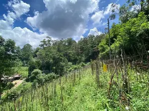 කැප්පෙටිපොළ නගරයට ආසන්න පර් 68ක ඉඩමක්