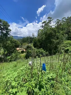 කැප්පෙටිපොළ නගරයට ආසන්න පර් 68ක ඉඩමක්