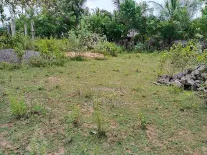 Land for Sale Sasthirikoolankulam