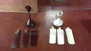 Ceiling Fans