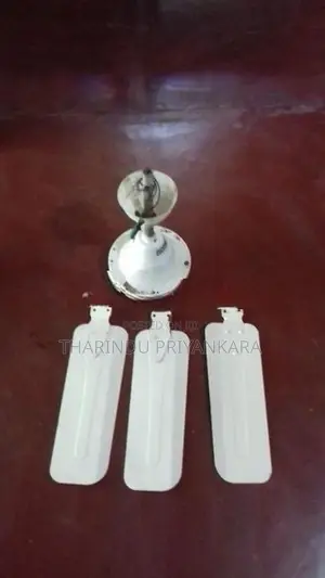 Ceiling Fans