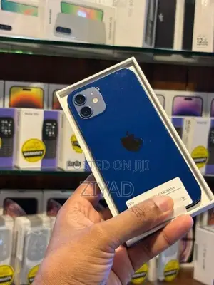 Apple iPhone 12 256GB (Used)