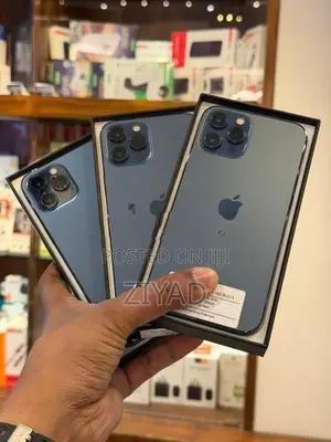 Apple iPhone 12 Pro 256GB (Used)