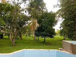 Land for sale in Katana,Demanhandiya.Gampaha.