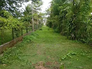 Land for sale in Katana,Demanhandiya.Gampaha.